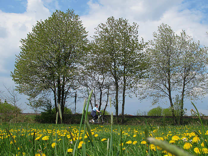 Fahrt durch die Natur