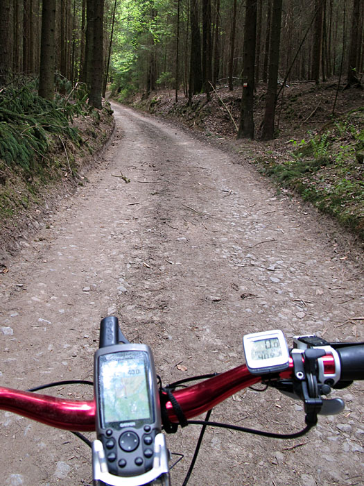 Regen- und Chambtal- Radweg liegen hinter uns, der Rückweg wird etwas ruppiger
