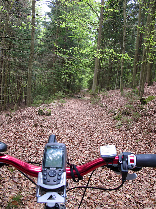 Noch scheint da ein Weg zu sein ...