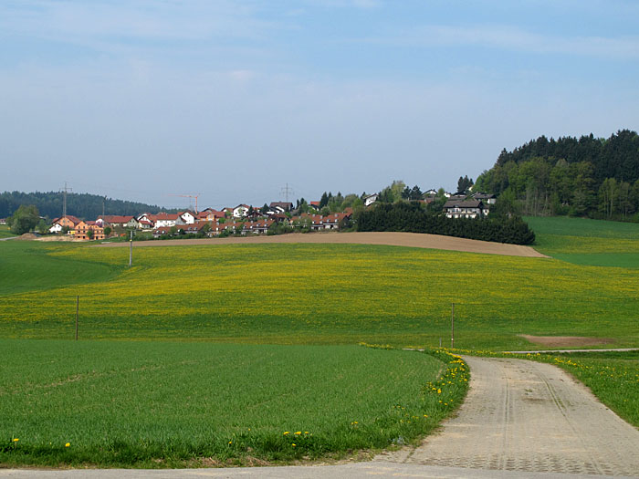 Start wieder in Zandt