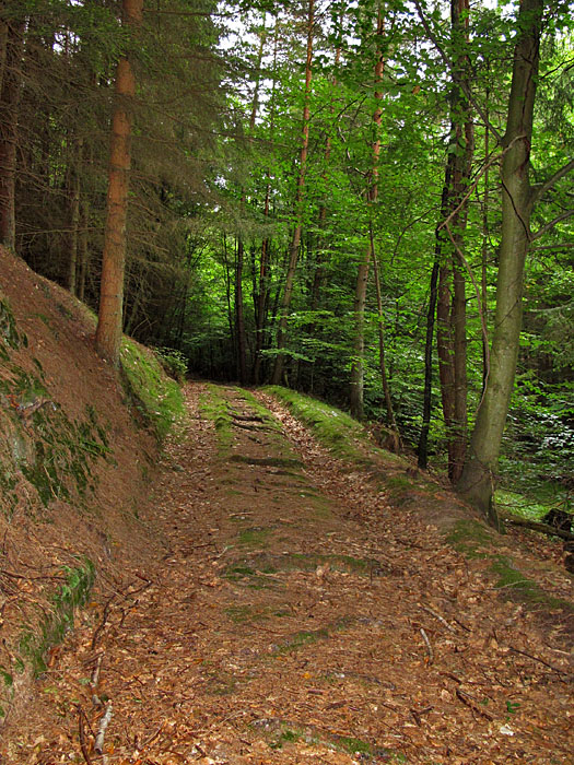 Buckliger Weg