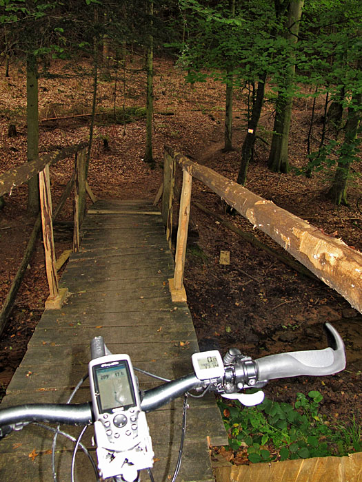 Wackelige Brücke