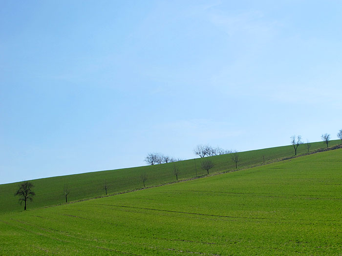 ... und schne grne Landschaften