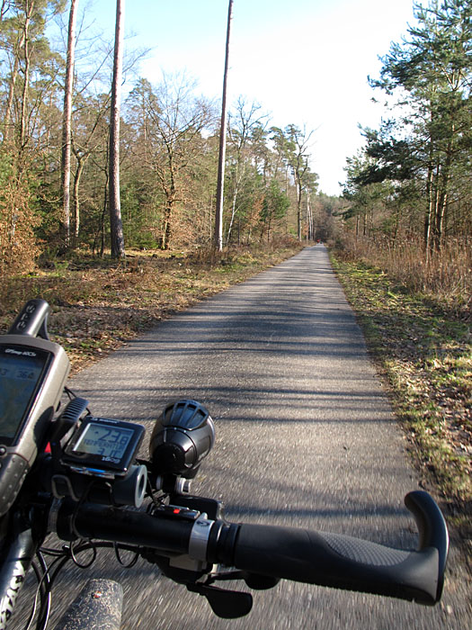 Durch den Hardwald