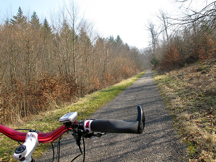 Fast wieder zuhause