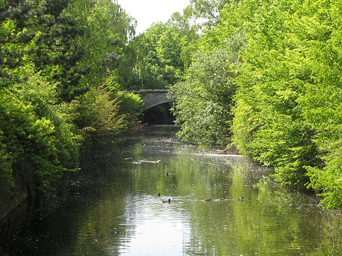 An der Pfinz