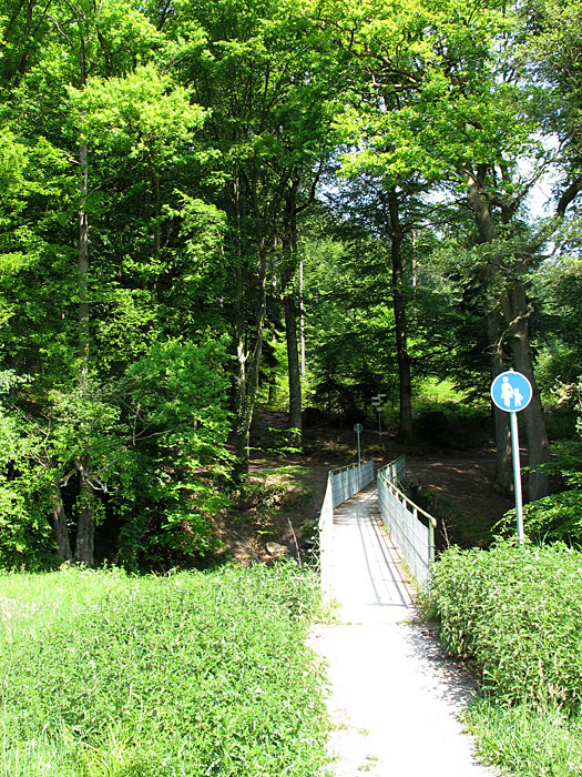 Moosalbbrücke