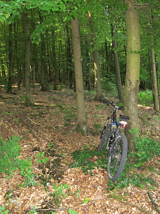 Wieder mal war plötzlich der Weg zu Ende