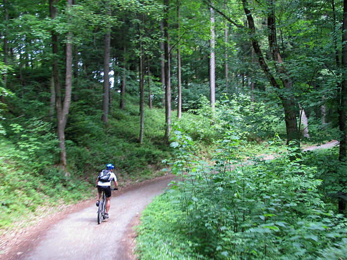 Im Wald ist es kühler, als auf den Feldwegen