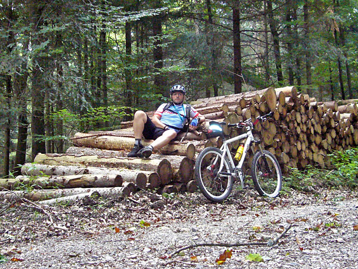 Pause im Wald