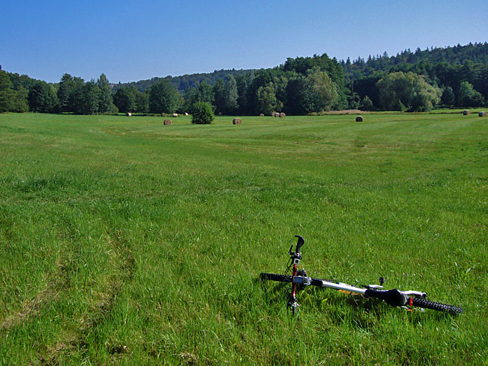Wiese an der Alb