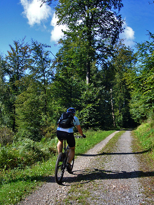 Auf in die Schwarzwälder Höhen