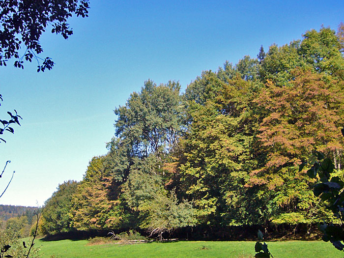 Herbstfarben