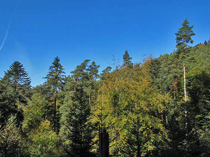 Herbstfarben