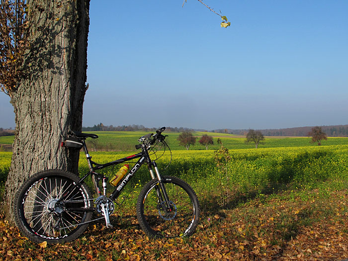Rund um Waldbronn