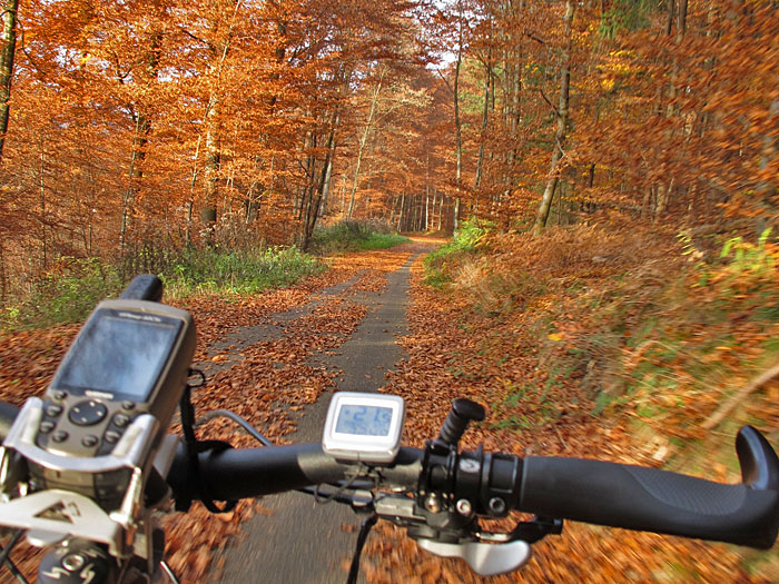 Rückfahrt durch herbstlichen Wald