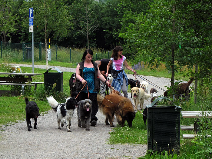 Da ich Angst vor Hunden habe, musste ich diese Stelle weiträumig umfahren ;-)