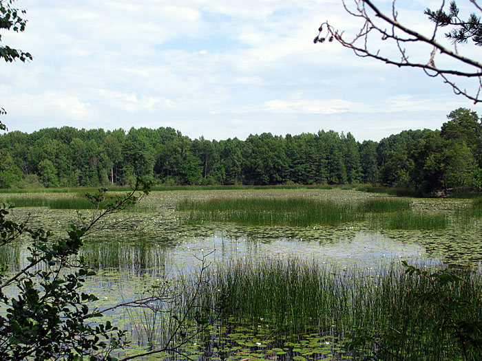 Wieder ein Seeblick