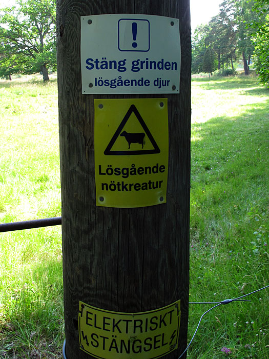 Die Nötkreaturen sind los ;-)