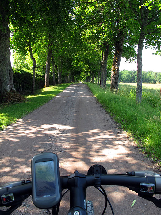 Schöne Allee