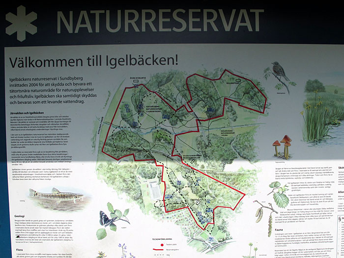 Ein Naturreservat voll mit Wegen für Läufer und Radler
