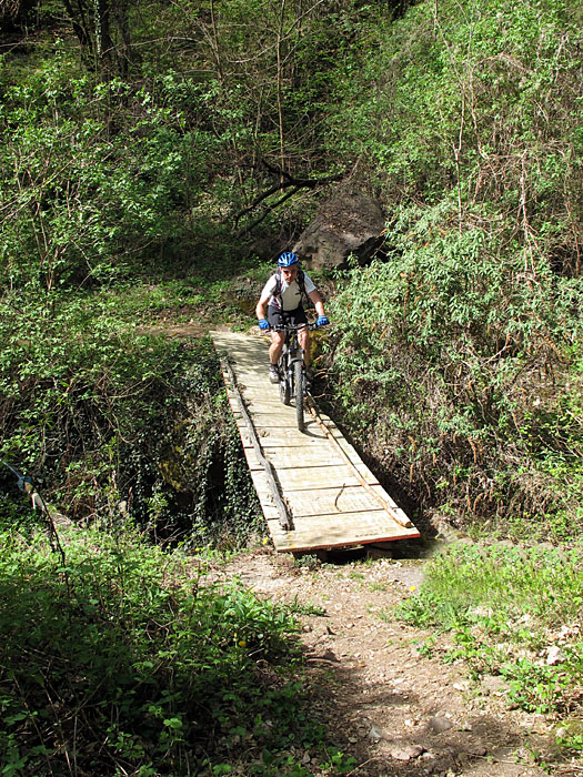 Wackelige Brücke