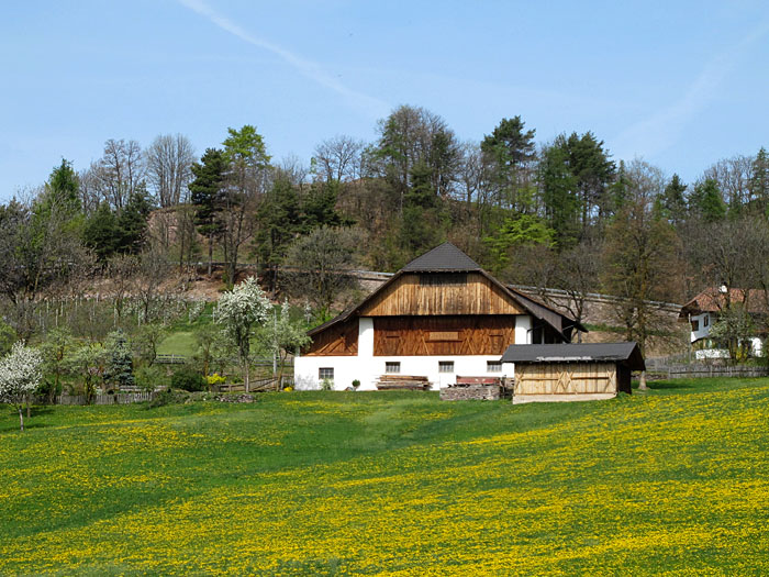 Scheune an schöner Wiese