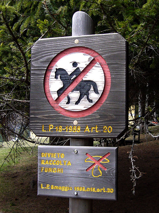 Vom Pferd aus darf man keine Pilze pflücken ;-)