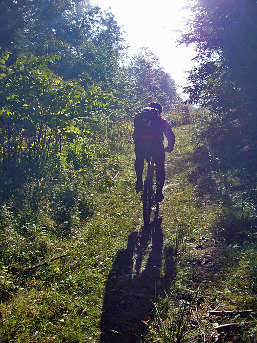 Reini im Gegenlicht
