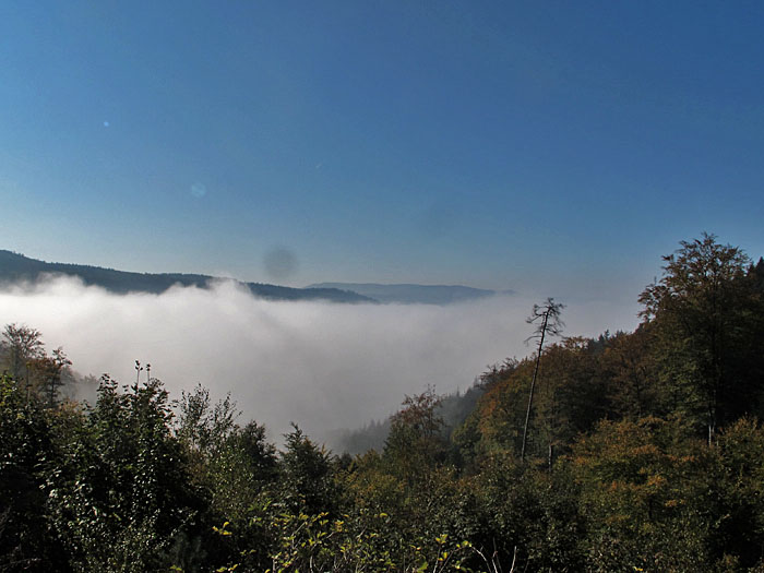 Blick vom Käppele nach Loffenau