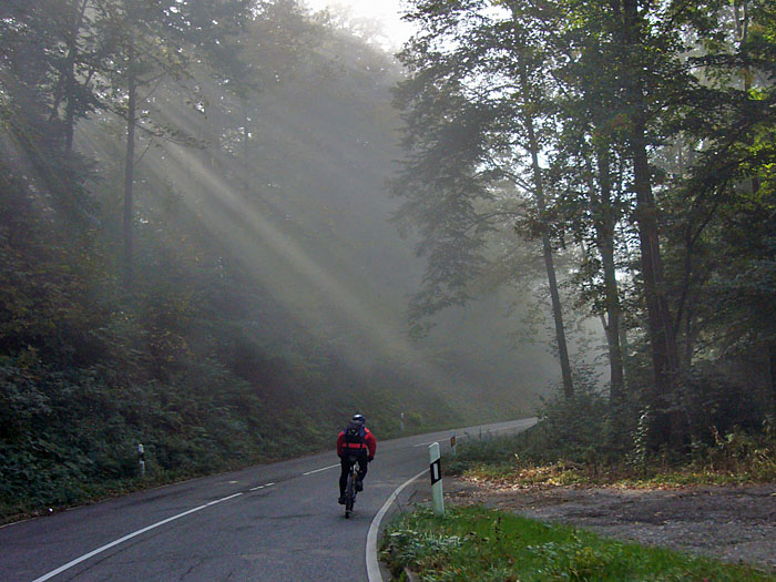 Die Sonnenstrahlen kämpfen sich durch den Nebel