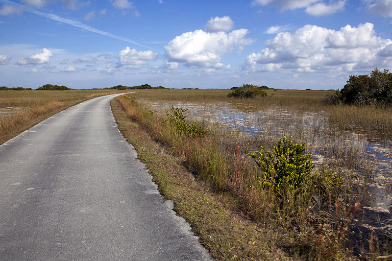 Feuchtes Grasland