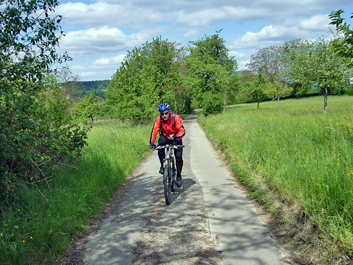 Radweg bei Königstein