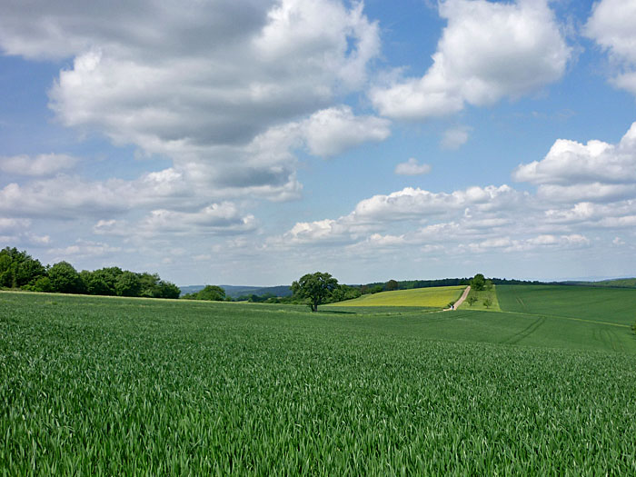 ... und schöne Wege durch die Natur