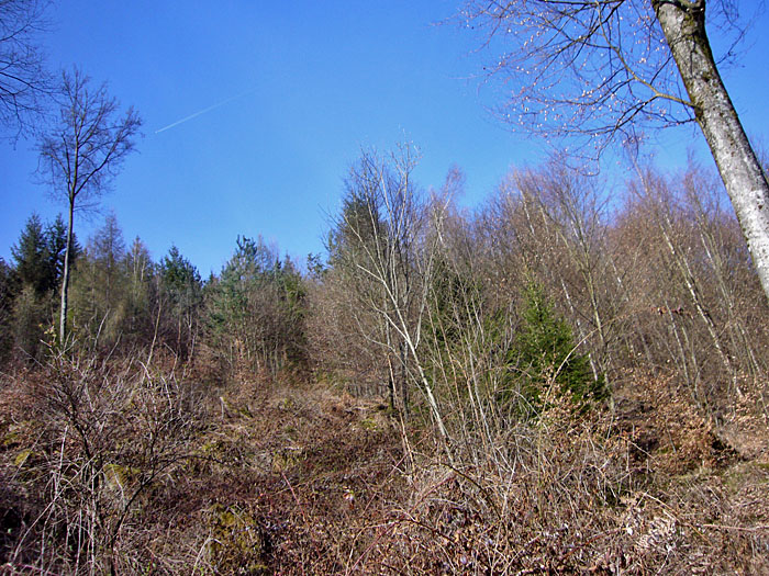 Schöner Sonnenschein, aber kalt