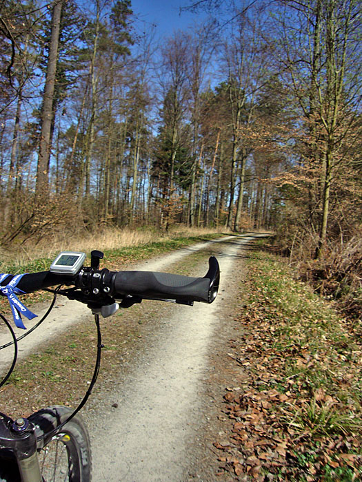 Fast wieder zuhause