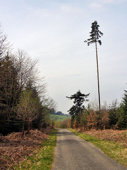 Hinter dem Hügel