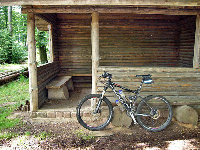 Schutzhütte im Wald