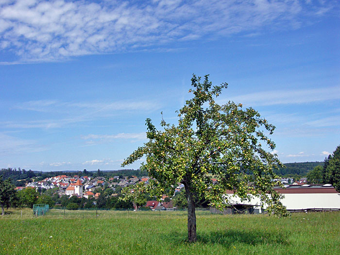 Apfelbaum