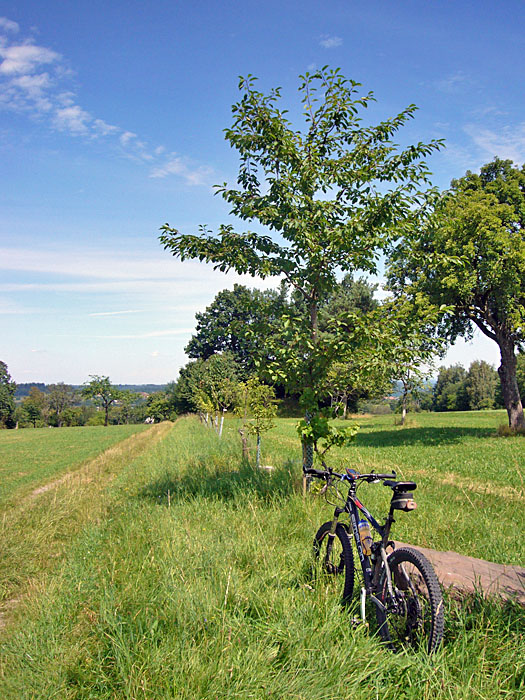 Ab durch die Wiese