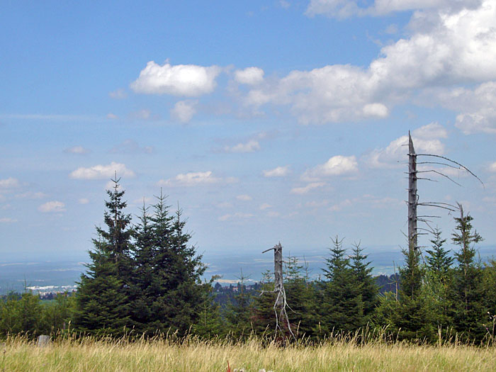 Blick übers Tal