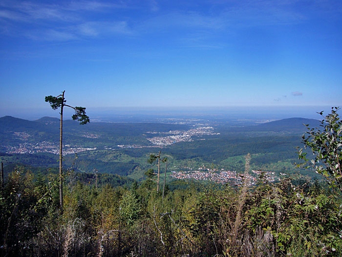 Blick ins Tal