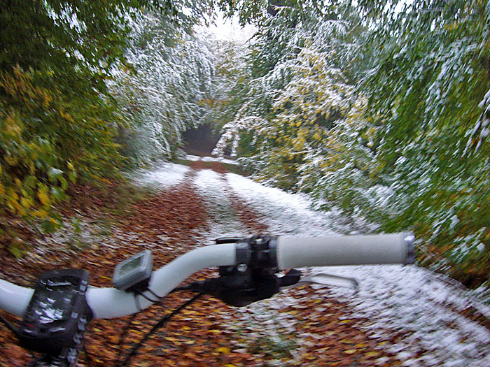 Noch sind die Waldwege nicht völlig schneebedeckt