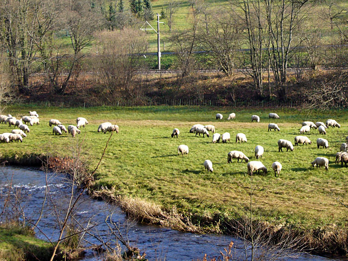Die "Mädels" im Wollpullover ;-)