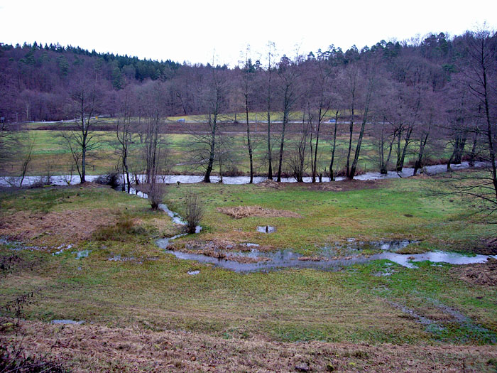 Durch den vielen Regen der letzten Tage, sind die Wiesen überschwemmt