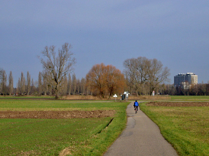 Rüppurr in Sicht