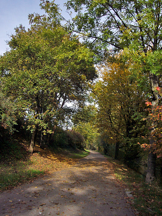 Herbstliche Bäume an der Alb