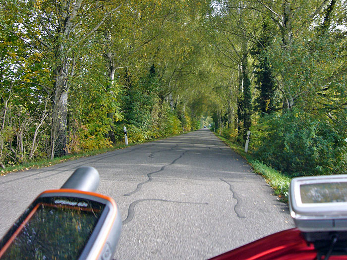 Umweg über eine Allee