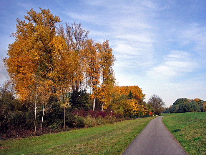 Herbstlaub
