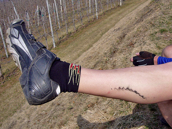 Björns "Tattoo"
